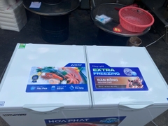 Tủ đông Hòa Phát HPF BD6330 330 lít DÀN ĐỒNG