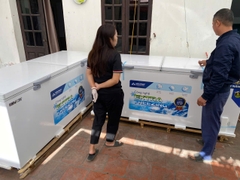 Tủ đông dung tích lớn Hòa Phát HPF AD6783.1 803 lít DÀN ĐỒNG