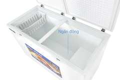 Tủ đông Hòa Phát HCF 666S1Đ2 352 lít DÀN ĐỒNG