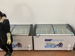 Tủ Bán Kem 450L Hòa Phát