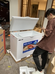 Tủ đông Hòa Phát HPF AD6252 252 lít DÀN ĐỒNG