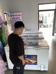 Tủ đông Hòa Phát HPF AN6352 352 lít 1 chế độ đông