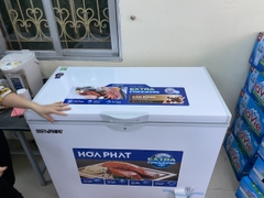 Tủ đông Hòa Phát HPF AD6252 252 lít DÀN ĐỒNG