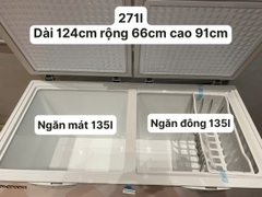 Tủ đông Hòa Phát HPF BD6271 271 lít DÀN ĐỒNG