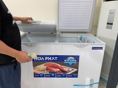 Tủ đông Hòa Phát Inverter HPF AD8352 352 lít DÀN ĐỒNG