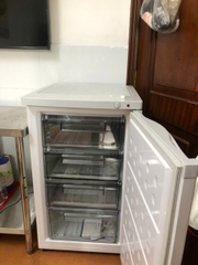 Tủ đông đứng Hòa Phát HPF UAH6106 106 lít 4 ngăn