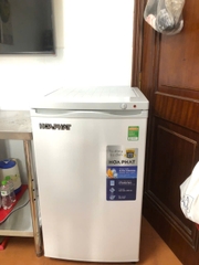 Tủ đông đứng Hòa Phát HPF UAH6106 106 lít 4 ngăn