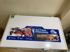 Tủ đông Hòa Phát HPF AD6162 162 lít DÀN ĐỒNG