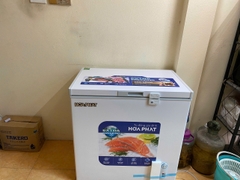 Tủ đông Hòa Phát HPF AD6162 162 lít DÀN ĐỒNG