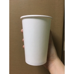 50 ly cốc giấy trắng nắp bã mía 12oz-360ml,16oz - 500ml dùng 1 lần