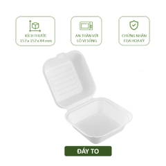 50 hộp bã mía vuông 500ml đựng bánh kem, hamburger, bento cake,....