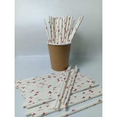 100 ống hút giấy 3 lớp phi 6 x 197mm, họa tiết, party, Noel, nhiều màu, theo mùa