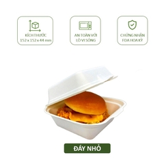 50 cái/ túi Hộp Bã Mía 1 Ngăn 600ml Biogreen