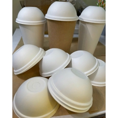50 ly cốc giấy trắng nắp bã mía 12oz-360ml,16oz - 500ml dùng 1 lần