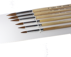 Bộ bút lông sói cán trắng