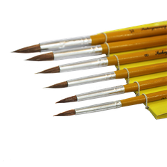 Combo 6 bút cán vàng đầu nhọn