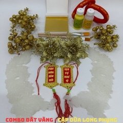 Combo dát dừa kèm phụ kiện trang trí Long Phụng Sum Vầy (dát đủ 2 quả dừa)