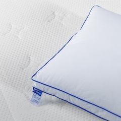 Ruột gối Microfiber cao cấp Elmich Dr.Sleep
