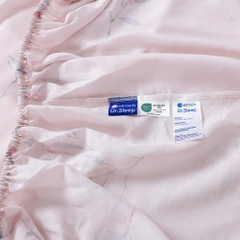 Bộ Ga Gối 100% Tencel 300T ETP07