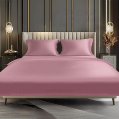 Bộ Chăn Ga Gối 100% Bamboo 300T EBS02