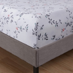 Bộ Ga Gối 100% Tencel 300T ETP04