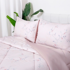 Bộ Chăn Ga Gối 100% Tencel 300T ETP07