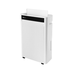 Máy hút ẩm kèm lọc không khí Elmich DE1310