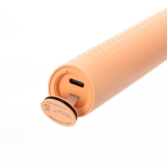 Bàn chải đánh răng điện Elmich Procare TBE-8460