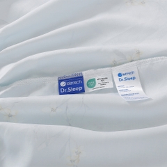 Bộ Ga Gối 100% Tencel 300T ETP06