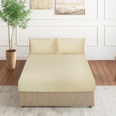 Bộ Chăn Ga Gối 100% Tencel 300T ETS05