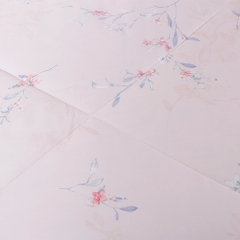 Vỏ Chăn 100% Tencel Kích Thước 200x220cm ETP07