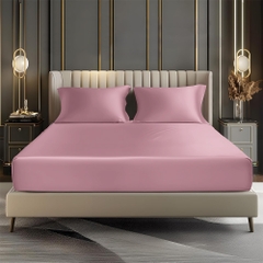 Bộ Ga Gối 100% Bamboo 300T EBS02