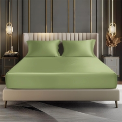 Bộ Ga Gối 100% Bamboo 300T EBS04