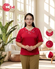 25114 - Embroidered Floral V-Neck Stylized Lace-up Short Sleeve Tops