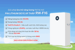Pin lưu trữ Deye RW-F16