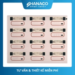 Chip Ghép Tầm Xa + Mifare