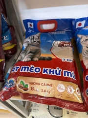 cát silver spoon
