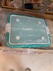 Khay dẹt cho chó