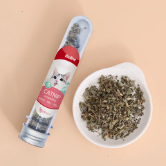 Catnip tiêu búi lông cho mèo