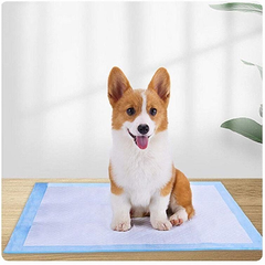 Lót thấm nước tiểu chó mèo Dogs & cats
