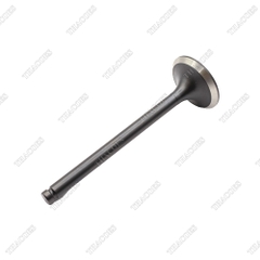 XUPAP XẢ  13202-1W400