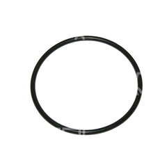 ORING (41x2) 30B-63-11450