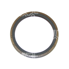 PHỚT ĐẦU TRỤC CƠ (100x120x12) 1C010-04460