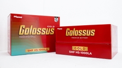 BÌNH ẮC QUY COLOSSUS SMF HS-31-1000LA (105AH-Cọc Chì)