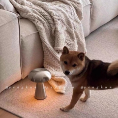 Thiết Kế Đan Mạch Đèn Bàn Hình Nấm Kim Loại