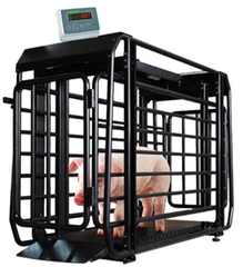 Cân động vật JWI-3100