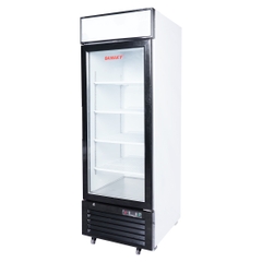 Tủ đông Sanaky 590 lít VH-768K