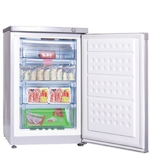 Tủ đông Hòa Phát 106 lít HUF 300SR1 - Dàn hợp kim