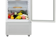 Tủ mát Hòa Phát 195 Lít HSC 550F1R1 - Dàn nhôm