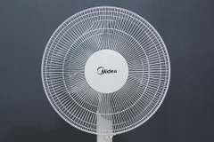 Quạt cây Midea FS40-16JA - Chính hãng